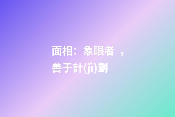 面相：象眼者，善于計(jì)劃
